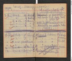Seite 9, Tagebuch "Photogr. Aufn. 1919" (NHMW-PRAE-BBB-11)